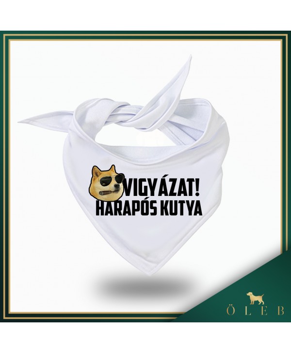 Vigyázat! Harapós kutya! - kutyakendő