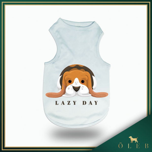 Beagle lazy day - kutyaruha